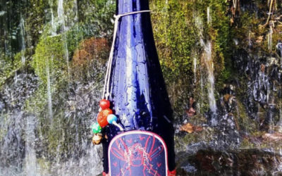 Welcome to Mosquito Mama